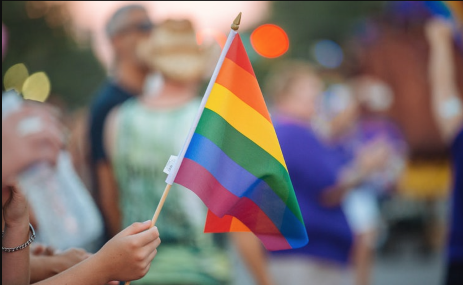 DAL MONDO – Lituania, il no dei leader religiosi alle unioni omosessuali 1